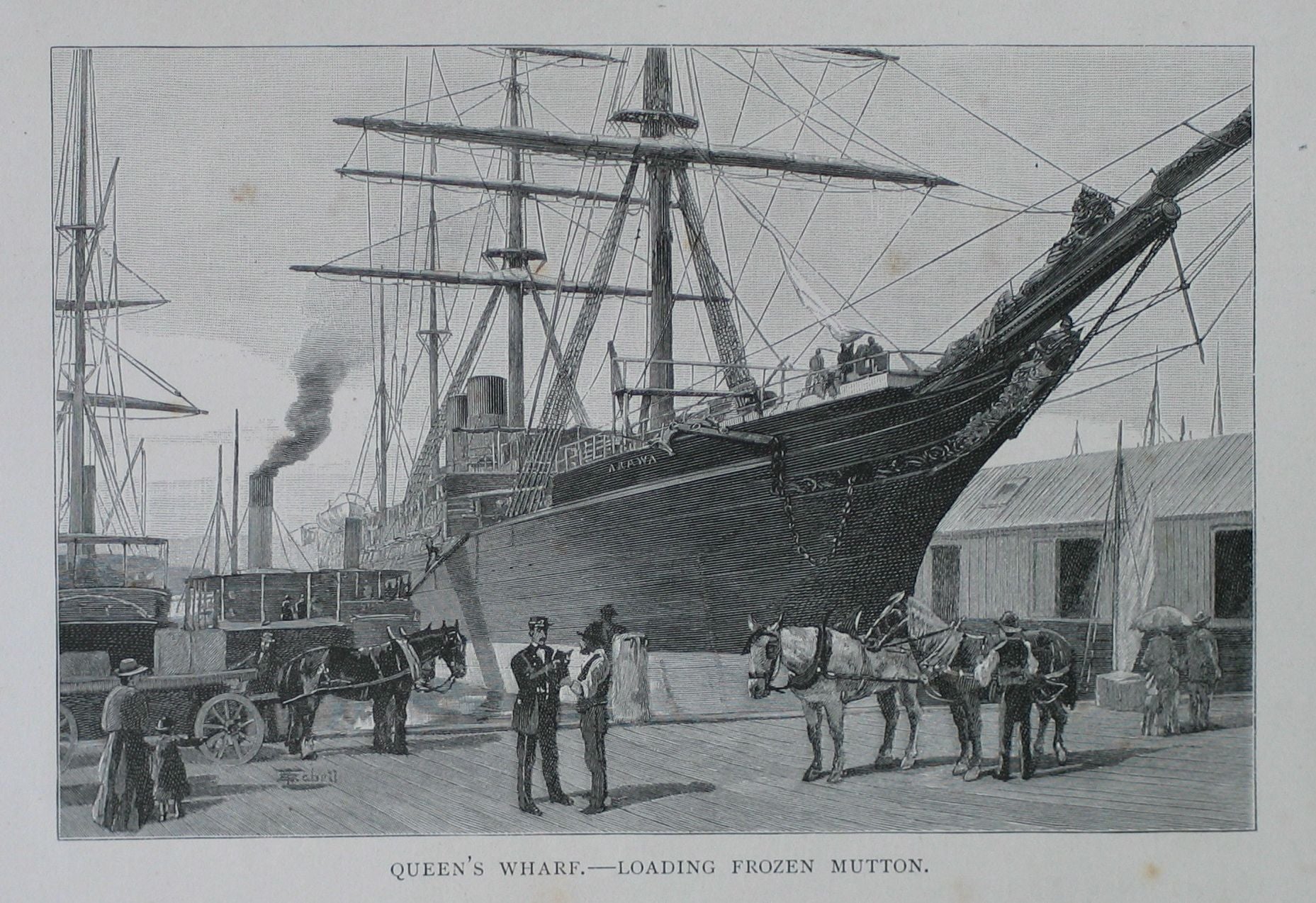 Queen's Wharf - Loading Frozen Mutton