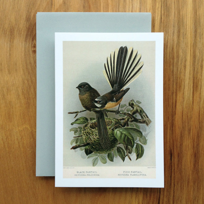 Fantail Greeting Card