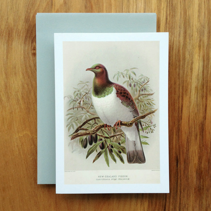 New Zealand Pigeon Greeting Card
