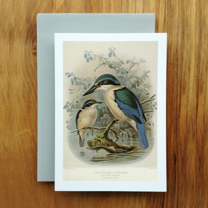 New Zealand Kingfisher Greeting Card